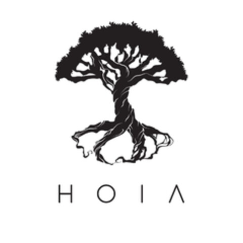 HOIA Logo (EUIPO, 07.06.2018)