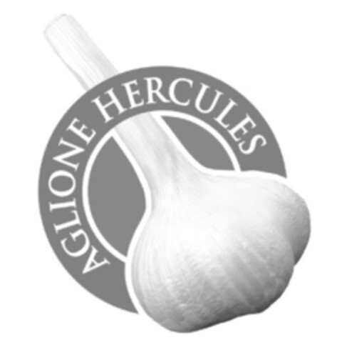 AGLIONE HERCULES Logo (EUIPO, 11.02.2022)