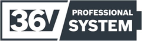 36V PROFESSIONAL SYSTEM Logo (EUIPO, 06.08.2020)