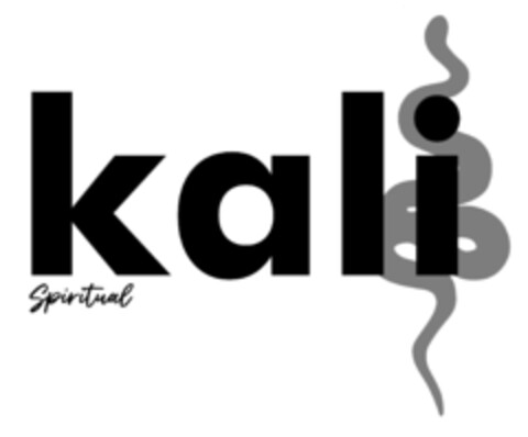 kali spiritual Logo (EUIPO, 04/01/2021)