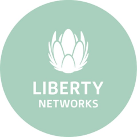 LIBERTY NETWORKS Logo (EUIPO, 18.08.2021)