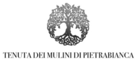 TENUTA DEI MULINI DI PIETRABIANCA Logo (EUIPO, 03/28/2022)