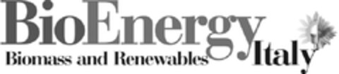 BioEnergy Biomass and Renewables Italy Logo (EUIPO, 02/15/2011)