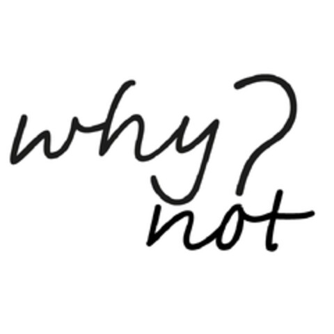 WHY NOT Logo (EUIPO, 06/13/2013)