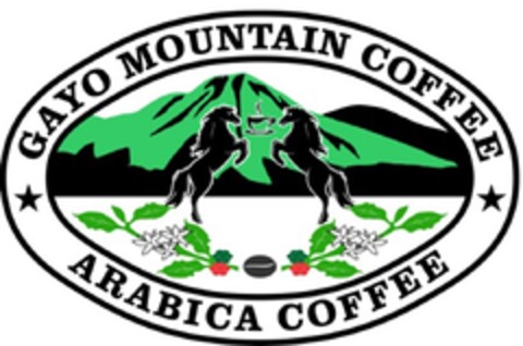 GAYO MOUNTAIN COFFEE ARABICA COFFEE Logo (EUIPO, 01/30/2015)