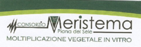 CONSORZIO Meristema , Piana del Sele , MOLTIPLICAZIONE VEGETALE IN VITRO Logo (EUIPO, 21.05.2009)