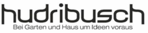 hudribusch Bei Garten und Haus um Ideen voraus Logo (EUIPO, 03/23/2016)