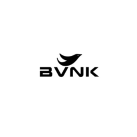 BVNK Logo (EUIPO, 03/23/2017)