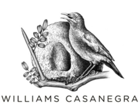 WILLIAMS CASANEGRA Logo (EUIPO, 01/20/2021)