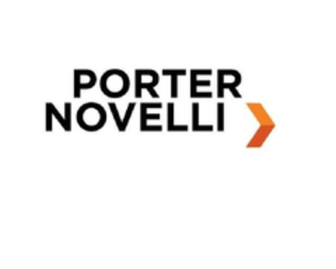 PORTER NOVELLI Logo (EUIPO, 03.09.2010)