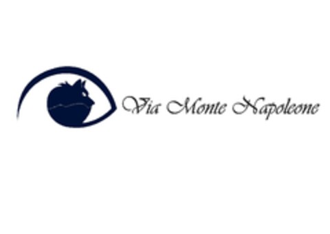 Via Monte Napoleone Logo (EUIPO, 11.03.2015)