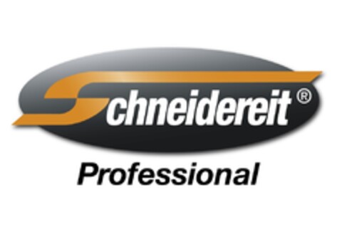 Schneidereit Professional Logo (EUIPO, 08/28/2015)