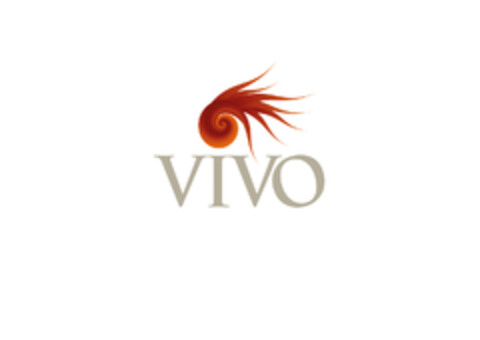 vivo Logo (EUIPO, 08.10.2018)