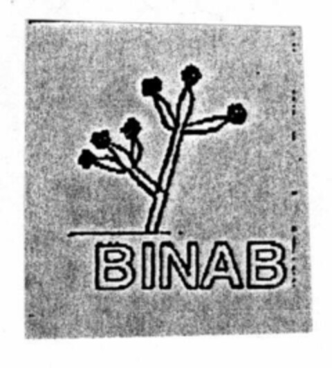 BINAB Logo (EUIPO, 01.04.1996)