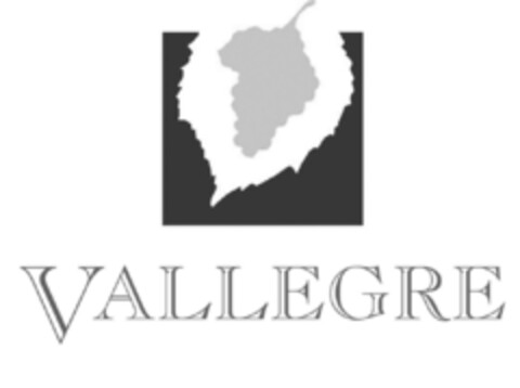 VALLEGRE Logo (EUIPO, 25.01.2010)