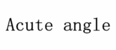 Acute angle Logo (EUIPO, 29.05.2019)