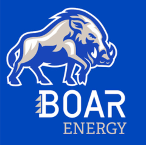 BOAR ENERGY Logo (EUIPO, 16.01.2020)