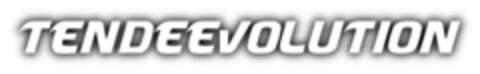 TENDEEVOLUTION Logo (EUIPO, 12.11.2020)