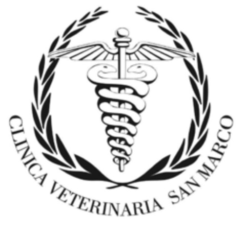 CLINICA VETERINARIA SAN MARCO Logo (EUIPO, 21.05.2019)