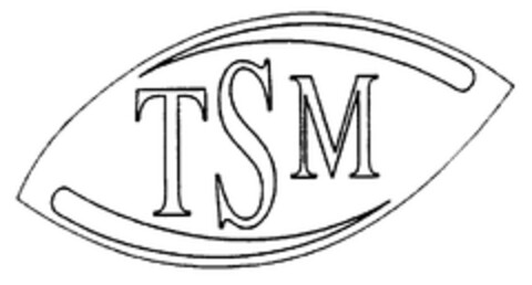 TSM Logo (EUIPO, 04/01/1996)