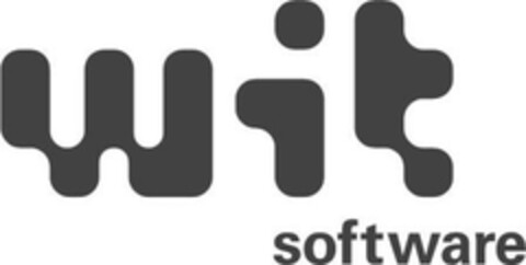 wit software Logo (EUIPO, 24.09.2008)