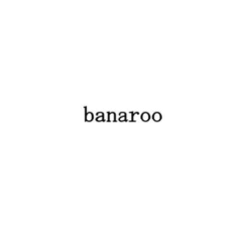 BANAROO Logo (EUIPO, 21.05.2017)