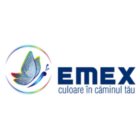 EMEX culoare în căminul tău Logo (EUIPO, 29.07.2020)