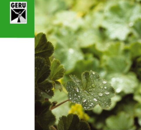 GERU Logo (EUIPO, 21.08.2020)