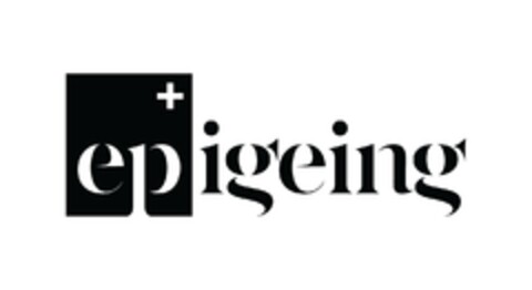 epigeing Logo (EUIPO, 01.05.2023)