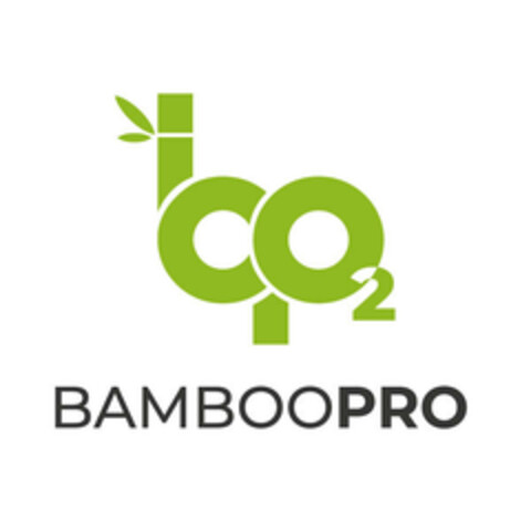 bamboopro Logo (EUIPO, 01/26/2022)