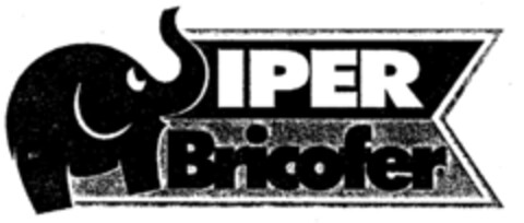 IPER Bricofer Logo (EUIPO, 09.06.1999)