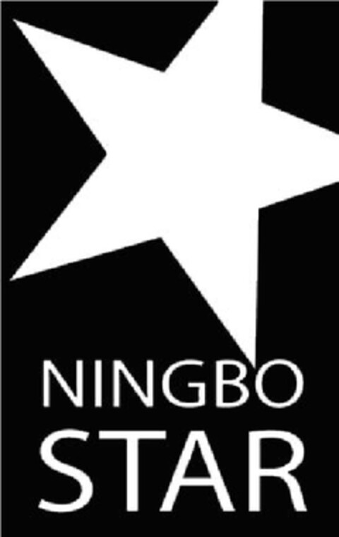 NINGBO STAR Logo (EUIPO, 04/22/2010)