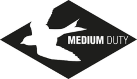 MEDIUM DUTY Logo (EUIPO, 23.10.2013)