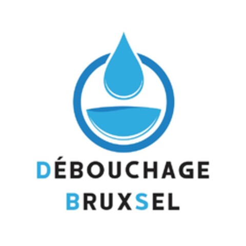 DÉBOUCHAGE BRUXSEL Logo (EUIPO, 06/24/2022)