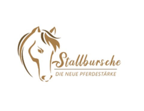 Stallbursche DIE NEUE PFERDESTÄRKE Logo (EUIPO, 23.01.2024)