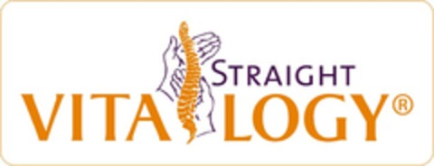 VITA LOGY STRAIGHT Logo (EUIPO, 27.04.2007)