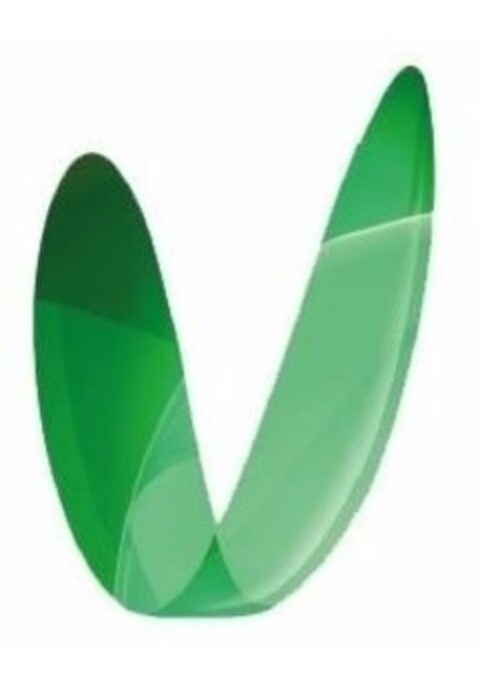 V Logo (EUIPO, 09.04.2019)