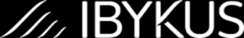 IBYKUS Logo (EUIPO, 07.06.2023)