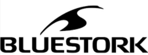 BLUESTORK Logo (EUIPO, 03.06.2024)