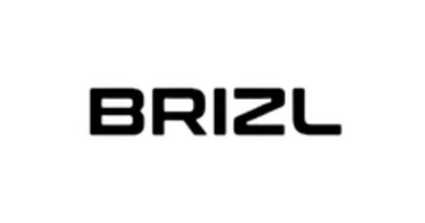 BRIZL Logo (EUIPO, 02.01.2025)