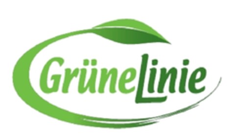 Grüne Linie Logo (EUIPO, 16.07.2009)