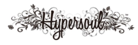 HYPERSOUL Logo (EUIPO, 24.06.2011)