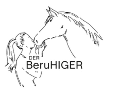 DER BeruHIGER Logo (EUIPO, 08.02.2021)