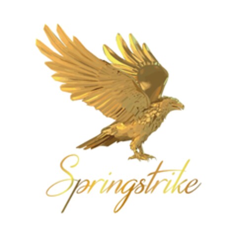 Springstrike Logo (EUIPO, 16.03.2021)