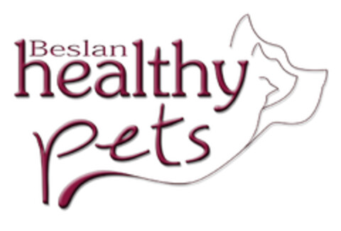 BESLAN HEALTHY PETS Logo (EUIPO, 12/05/2013)