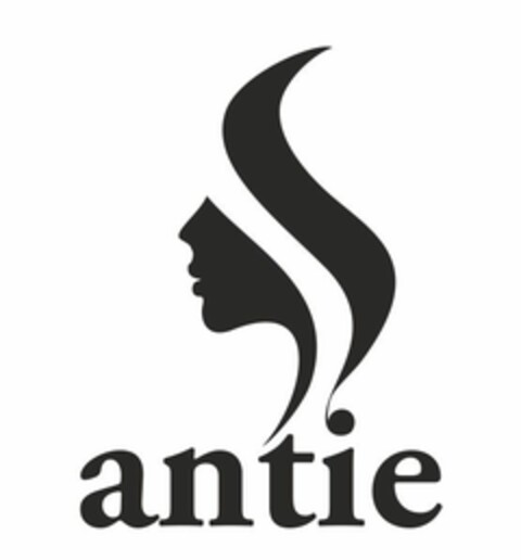 antie Logo (EUIPO, 16.06.2014)