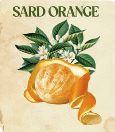 SARD ORANGE Logo (EUIPO, 02.08.2023)