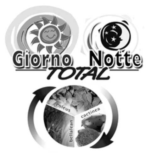 Giorno Notte TOTAL Logo (EUIPO, 23.01.2009)