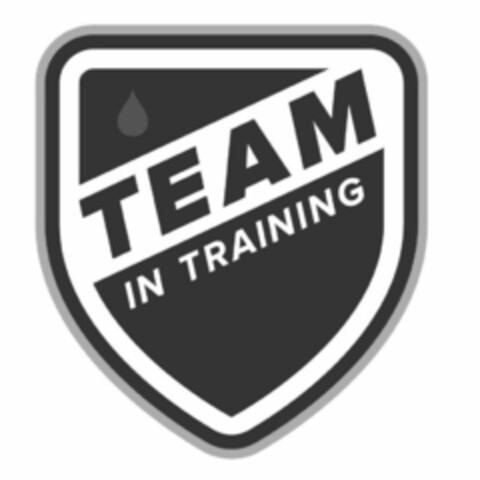 TEAM IN TRAINING Logo (EUIPO, 24.01.2020)