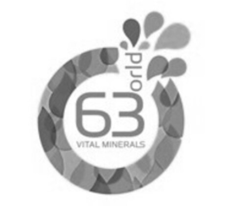 63 VITAL MINERALS WORLD Logo (EUIPO, 28.04.2015)